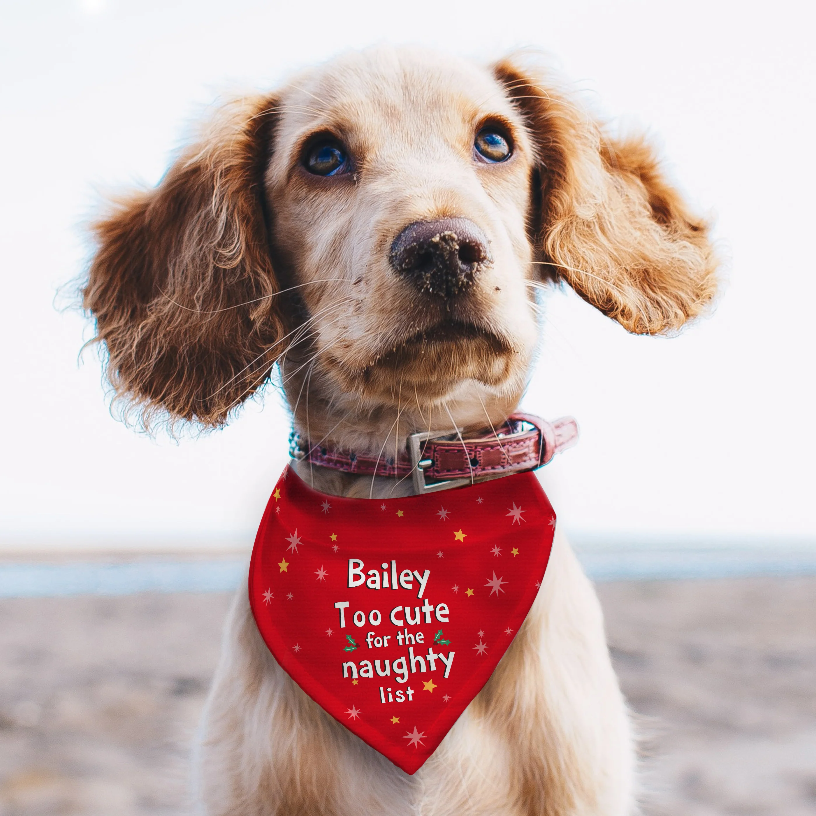 Personalised 'Too cute for the naughty list' Dog Bandana - Image 3