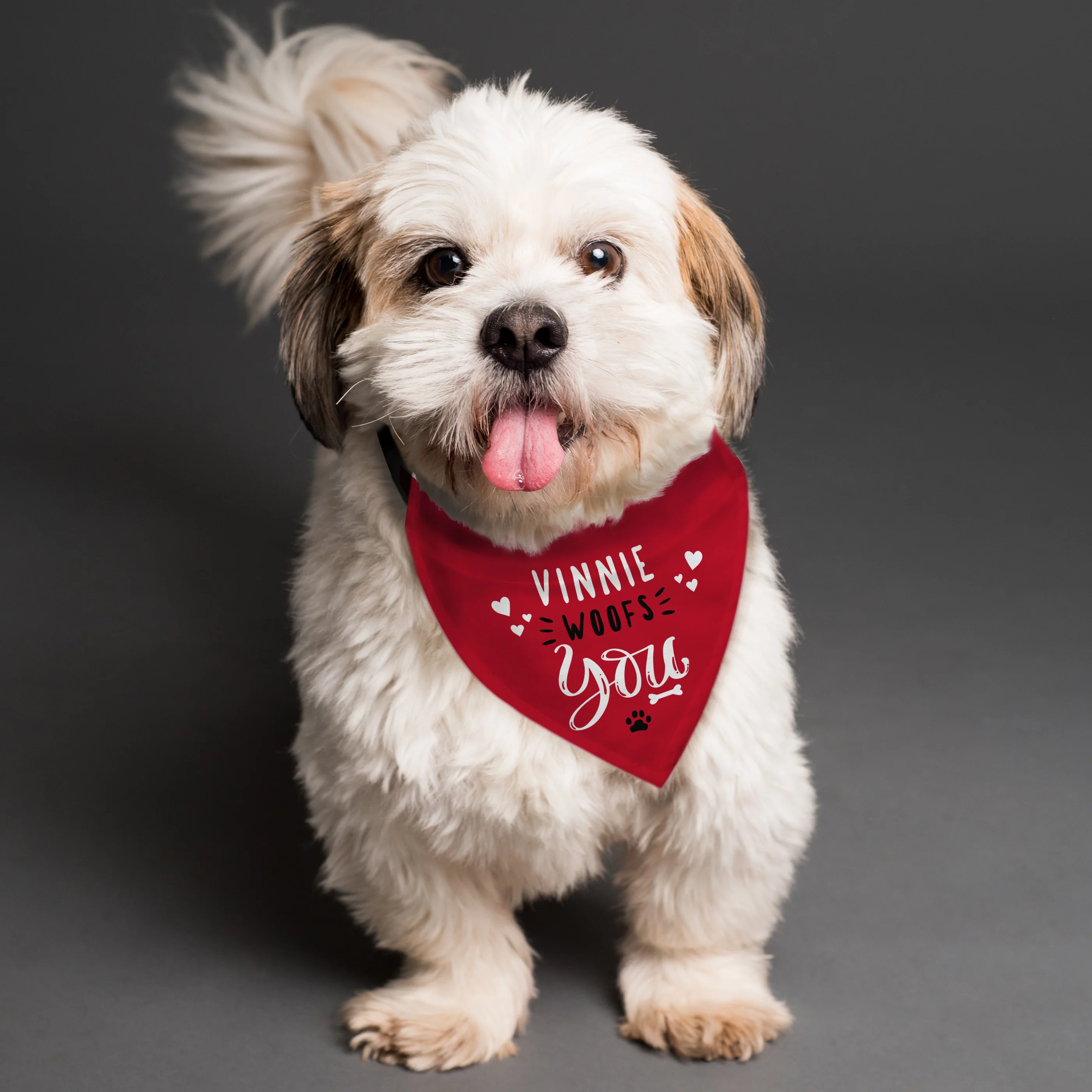 Personalised Woofs You Dog Bandana - Image 3