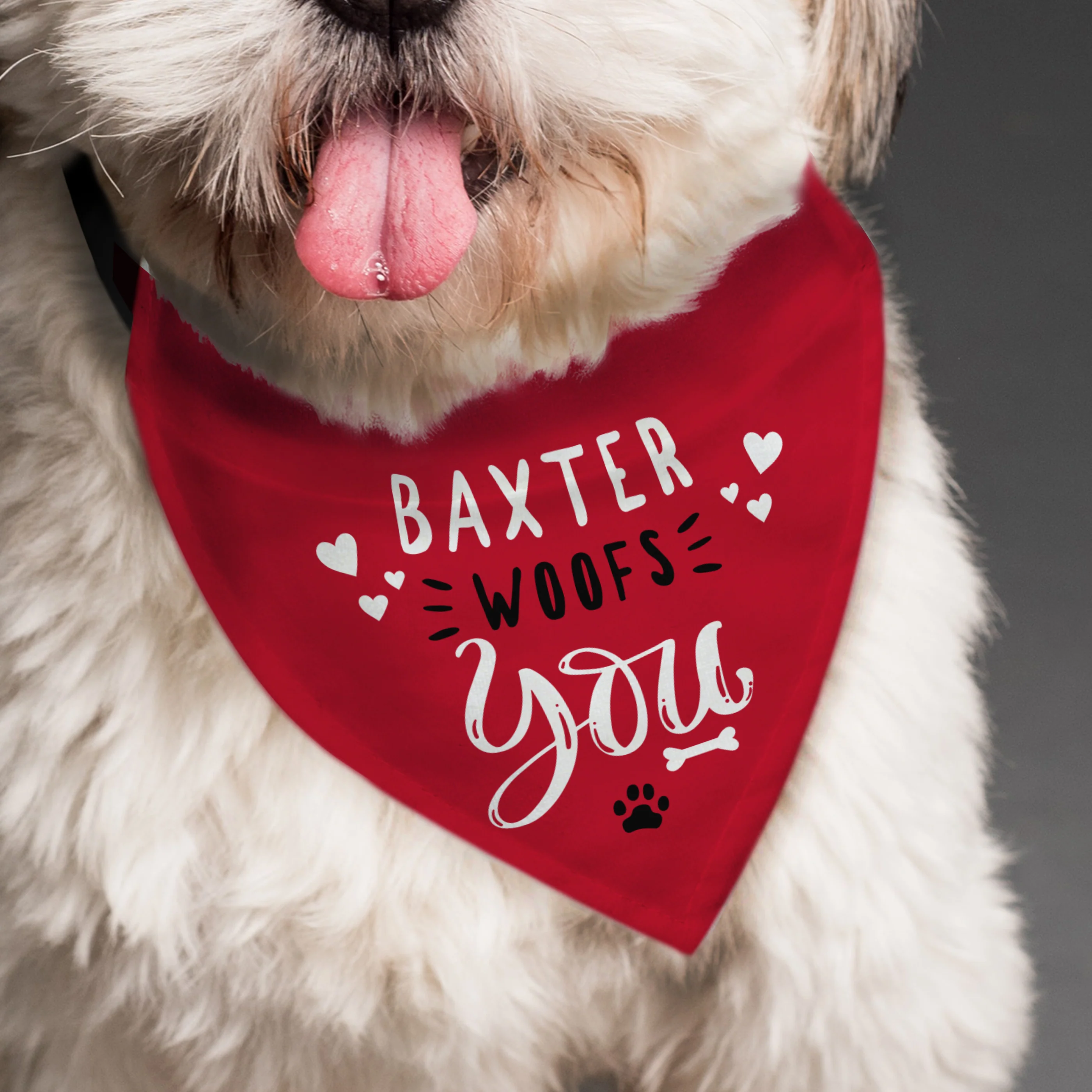 Personalised Woofs You Dog Bandana - Image 4
