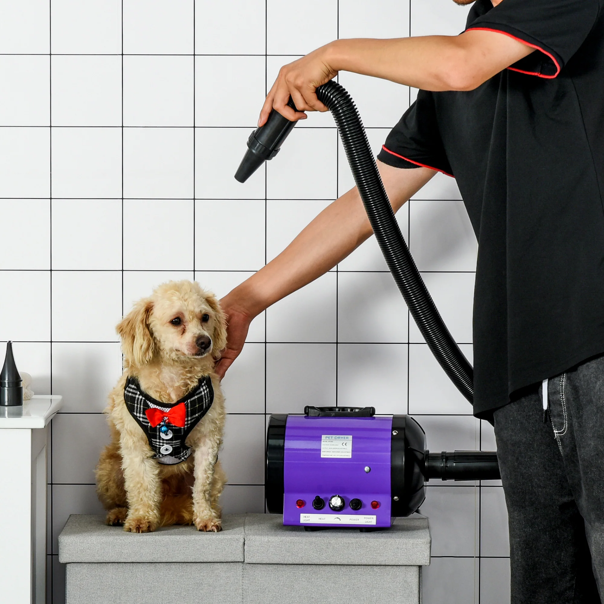 PawHut 2800W Dog Hair Dryer Pet Grooming Blaster Blower Dryer 3 Nozzles, Purple - Image 2