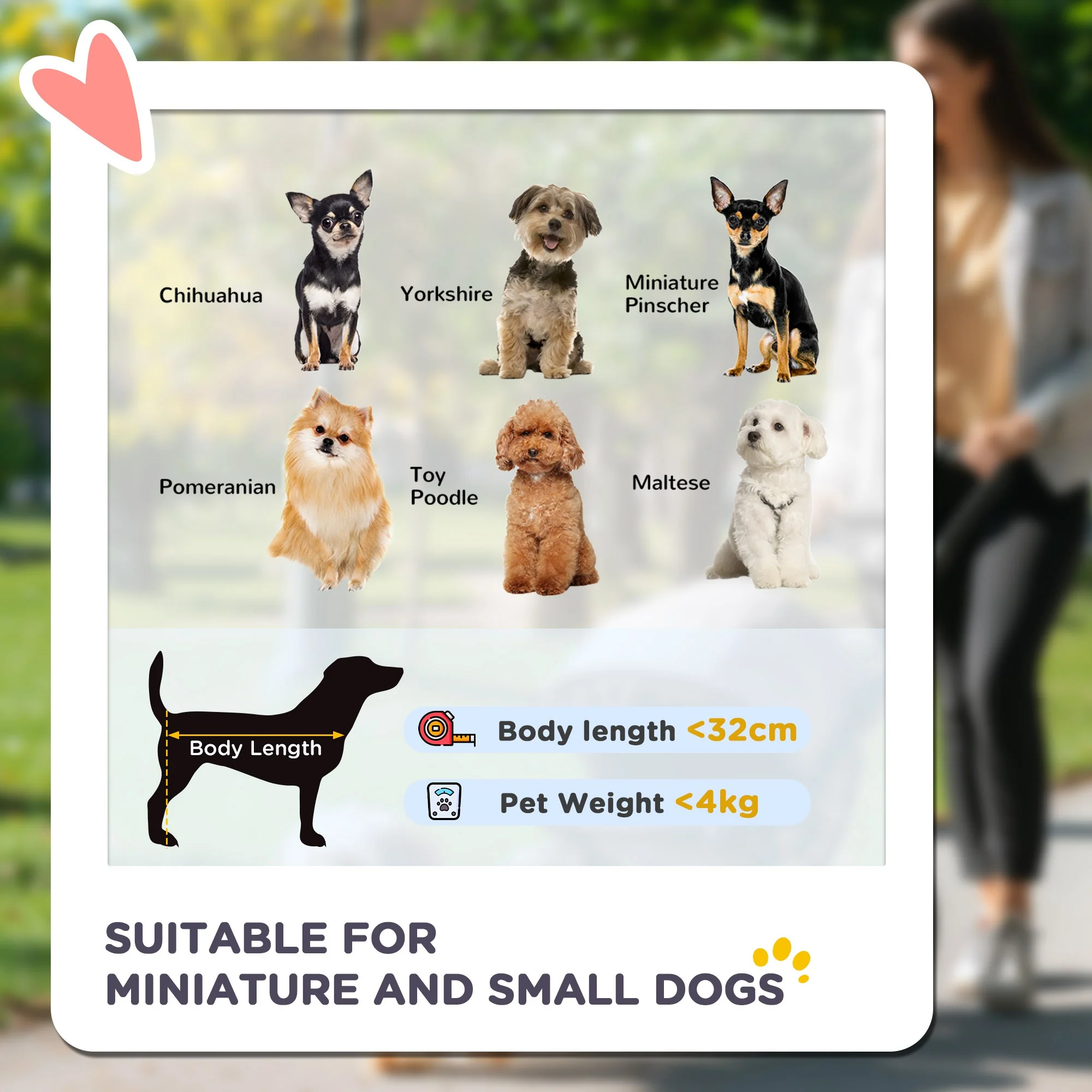 Pet Stroller - Image 5