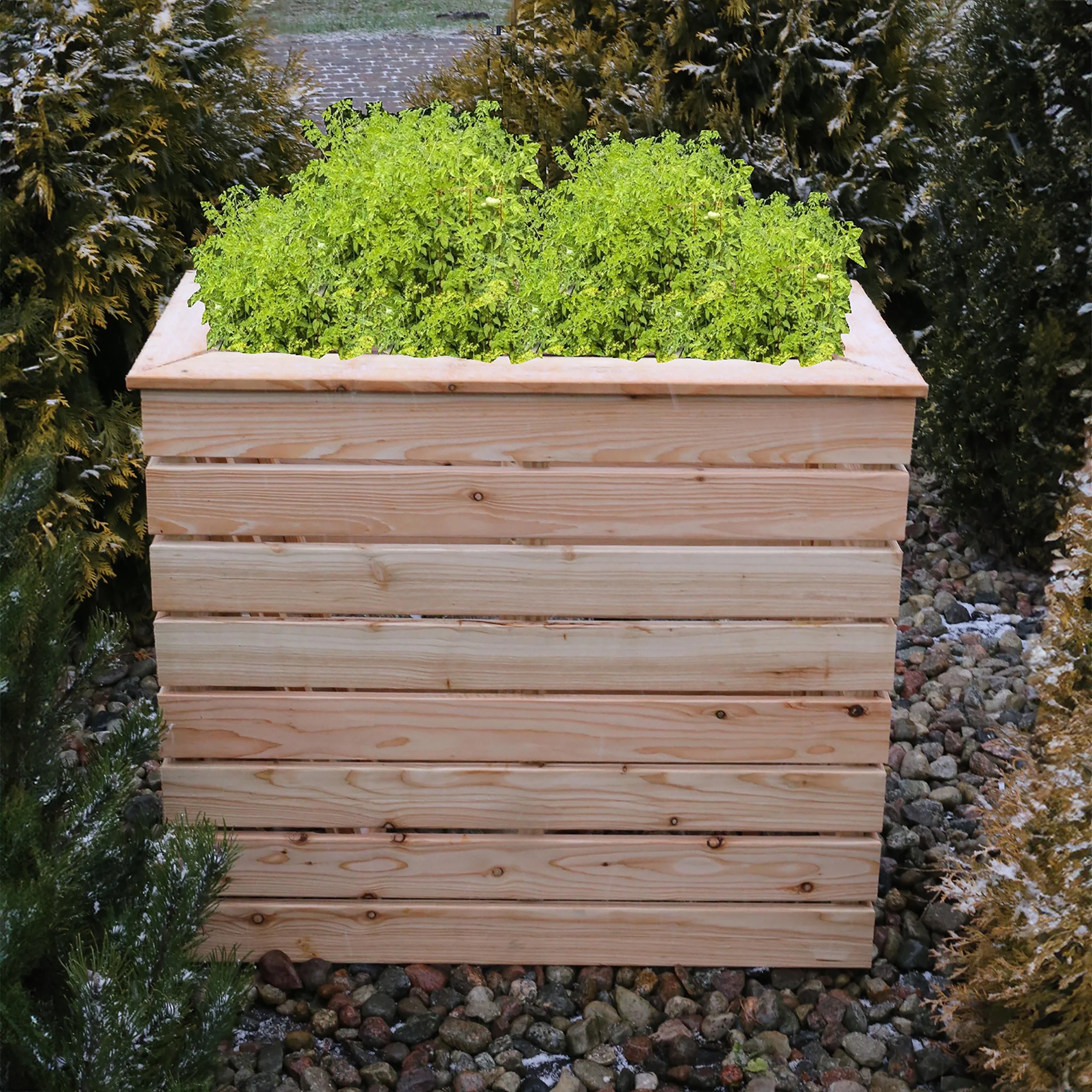 Pia Larch Planter - Image 2