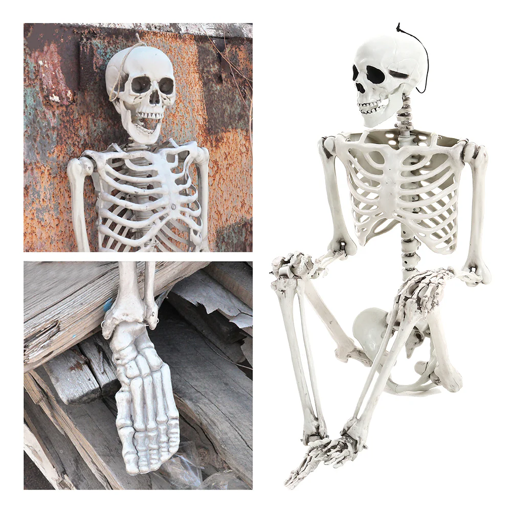 Posable Full Body Skeleton Prop - Image 3