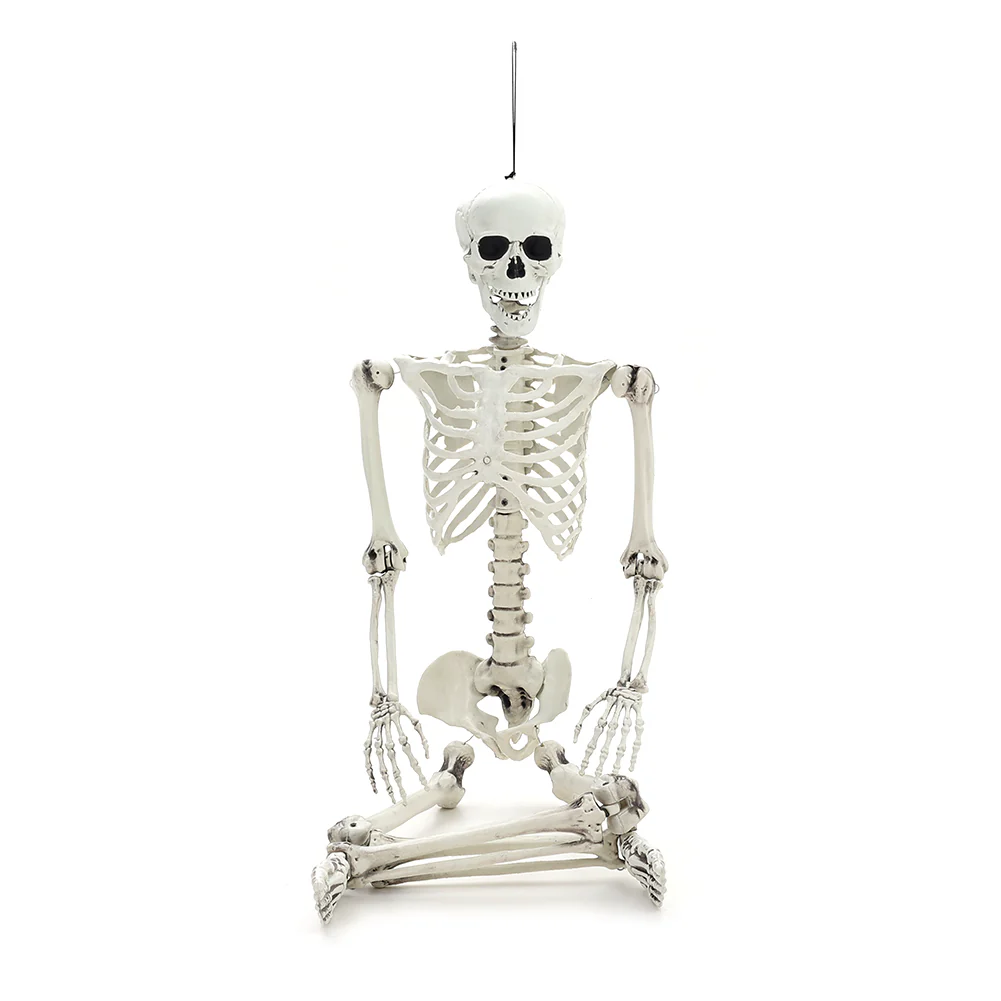 Posable Full Body Skeleton Prop - Image 5
