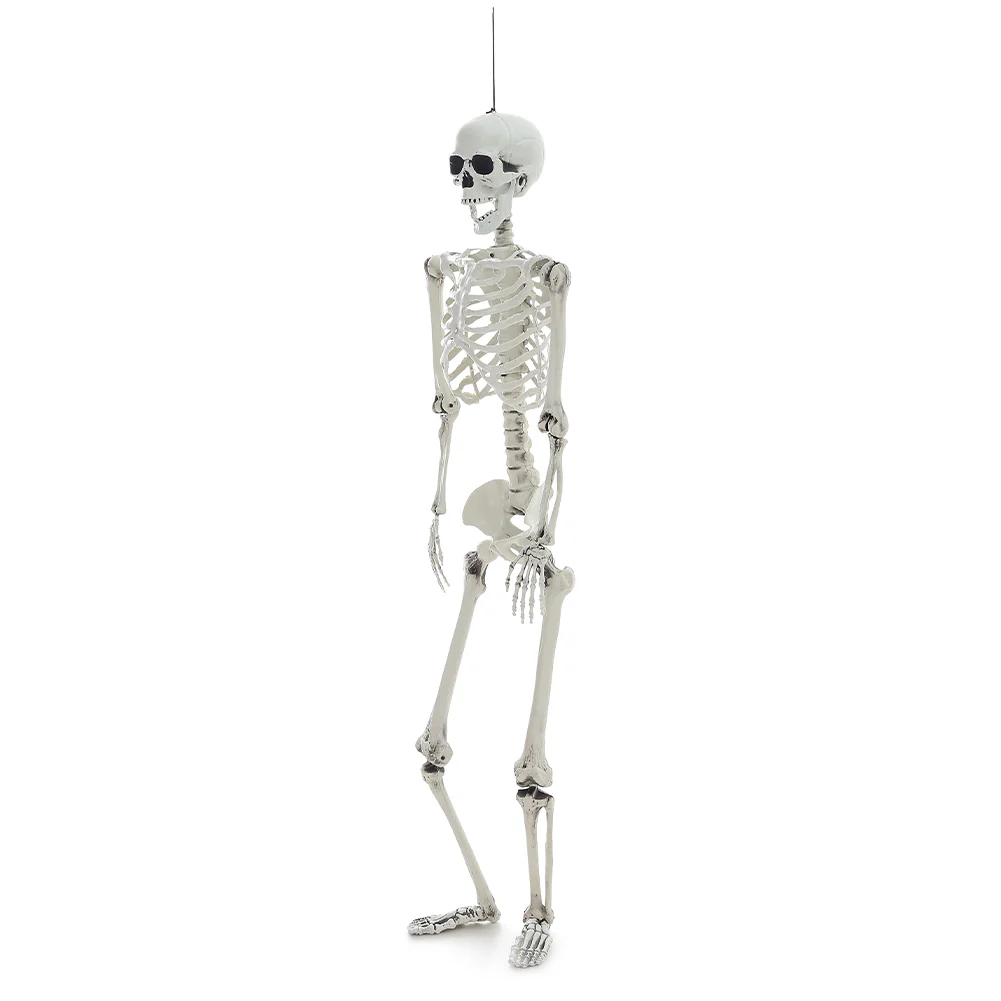 Posable Full Body Skeleton Prop - Image 6
