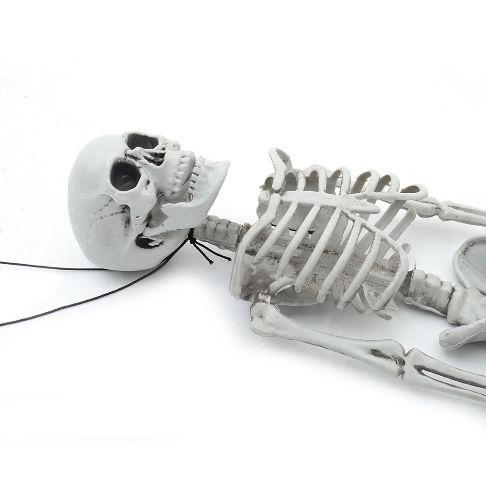 Realistic Posable Hanging Skeleton For Halloween - Image 12