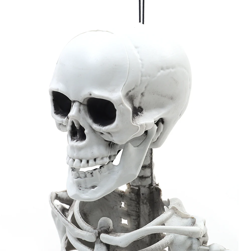 Realistic Posable Hanging Skeleton For Halloween - Image 14