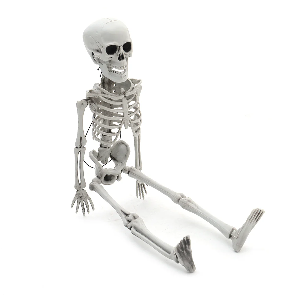 Realistic Posable Hanging Skeleton For Halloween - Image 15