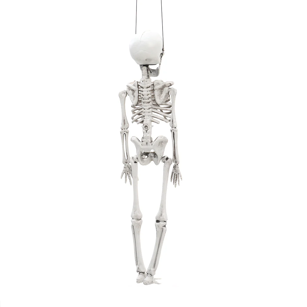 Realistic Posable Hanging Skeleton For Halloween - Image 16
