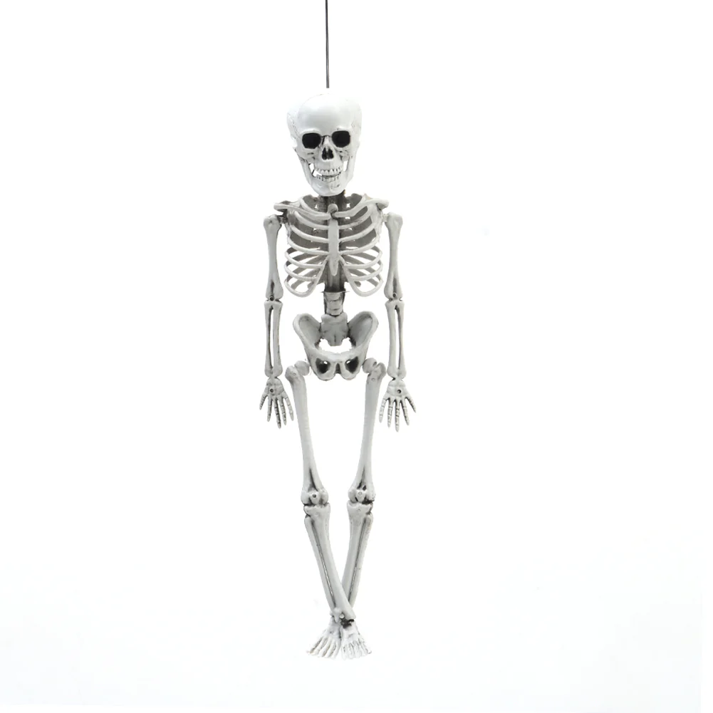 Realistic Posable Hanging Skeleton For Halloween - Image 17
