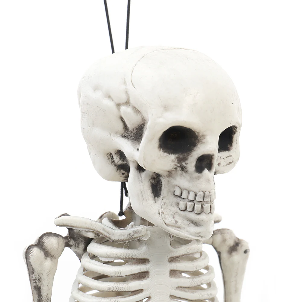 Realistic Posable Hanging Skeleton For Halloween - Image 6